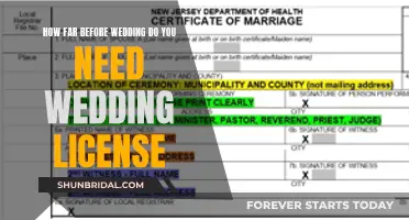 Obtaining a Wedding License: Timing and Other Essentials