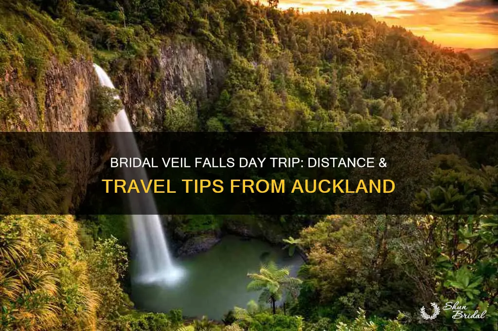 how far is bridal veil falls from auckland
