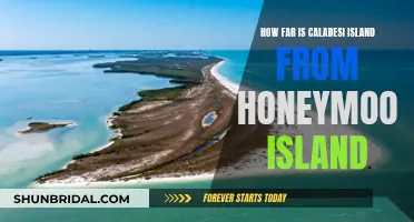 Caladesi Island to Honeymoon Island: A Distance Explored