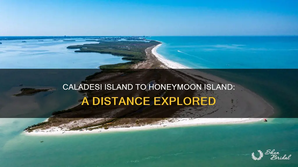 how far is caladesi island from honeymoon island