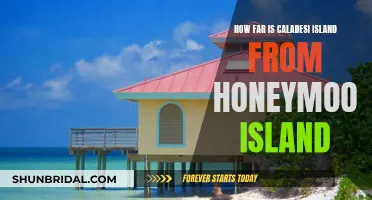 Caladesi and Honeymoon Islands: A Quick Getaway
