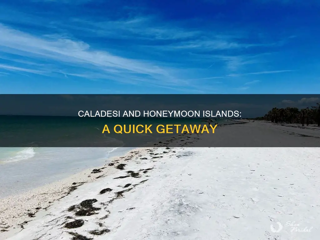 how far is caladesi island from honeymoon island
