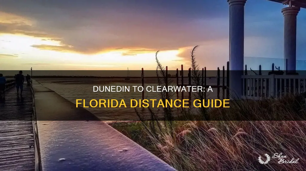 how far is dunedin fl from clearwater fl