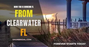 Exploring Dunedin and Clearwater: How Far Are They?