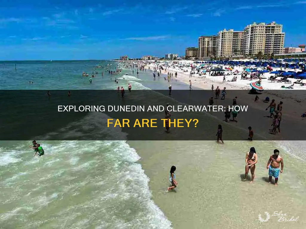 how far is dunedin fl from clearwater fl