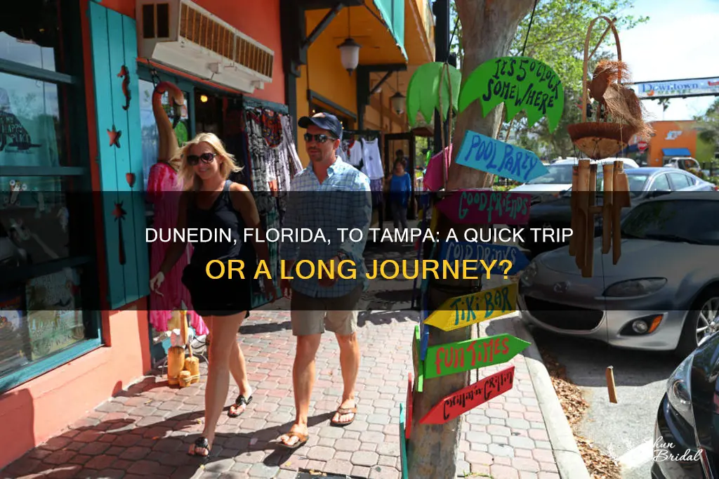 how far is dunedin Florida from tampa