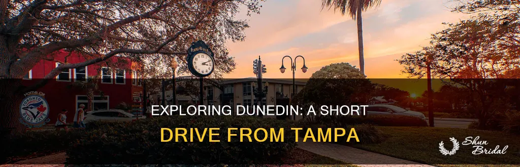 how far is dunedin Florida from tampa