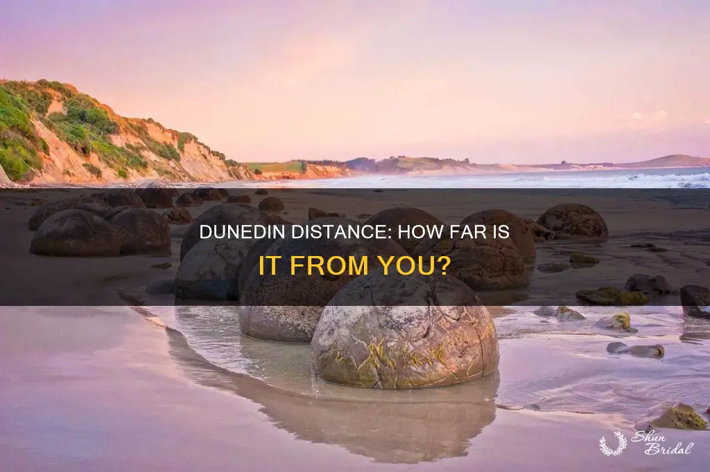 how far is dunedin from me