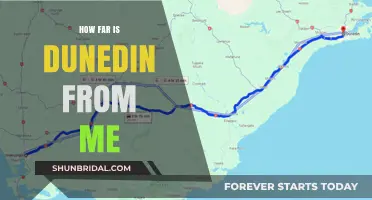 Discover Dunedin: Your Distance and Travel Guide from Anywhere