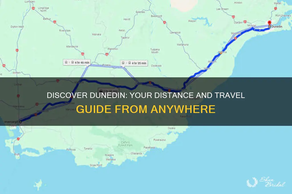 how far is dunedin from me