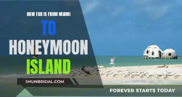 Exploring the Distance: Miami to Honeymoon Island