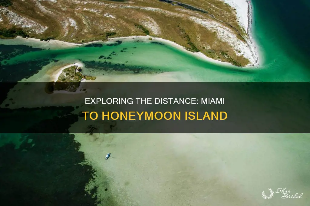 how far is from miami to honeymoon island