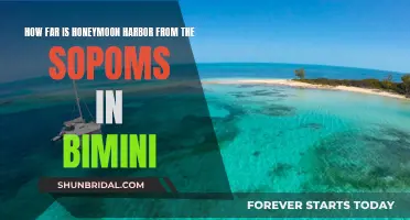 Bimini's Honeymooner's Paradise: Distance to Sopoms Unveiled