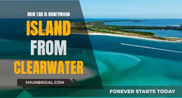 Honeymoon Island: A Journey to Paradise from Clearwater