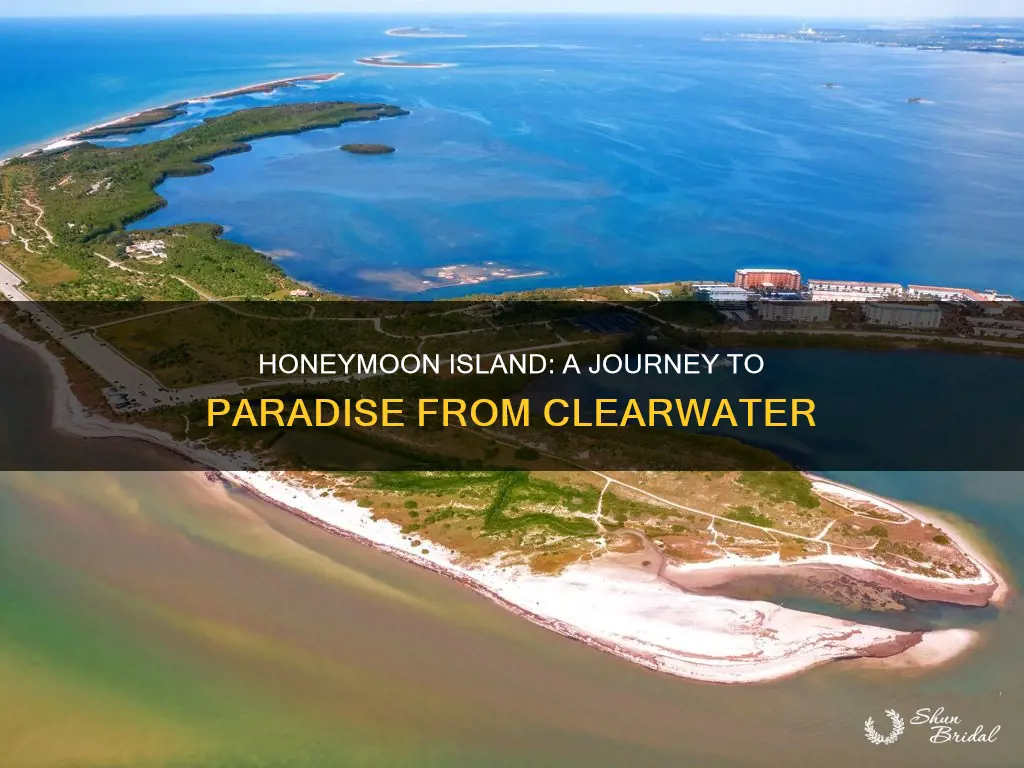 how far is honeymoon island from clearwater