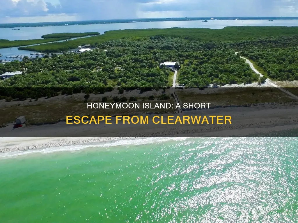how far is honeymoon island from clearwater