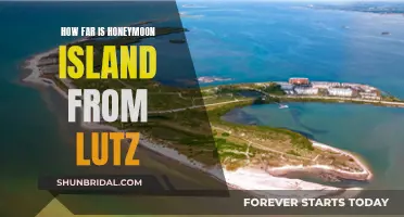 Honeymoon Island's Distance from Lutz: A Quick Guide