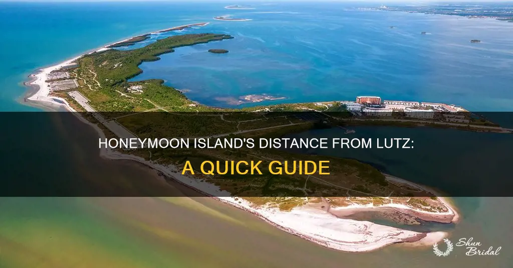 how far is honeymoon island from lutz