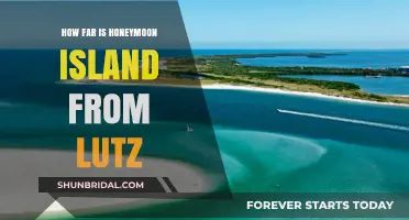 Honeymoon Island Escape: Distance and Travel Tips from Lutz, Florida