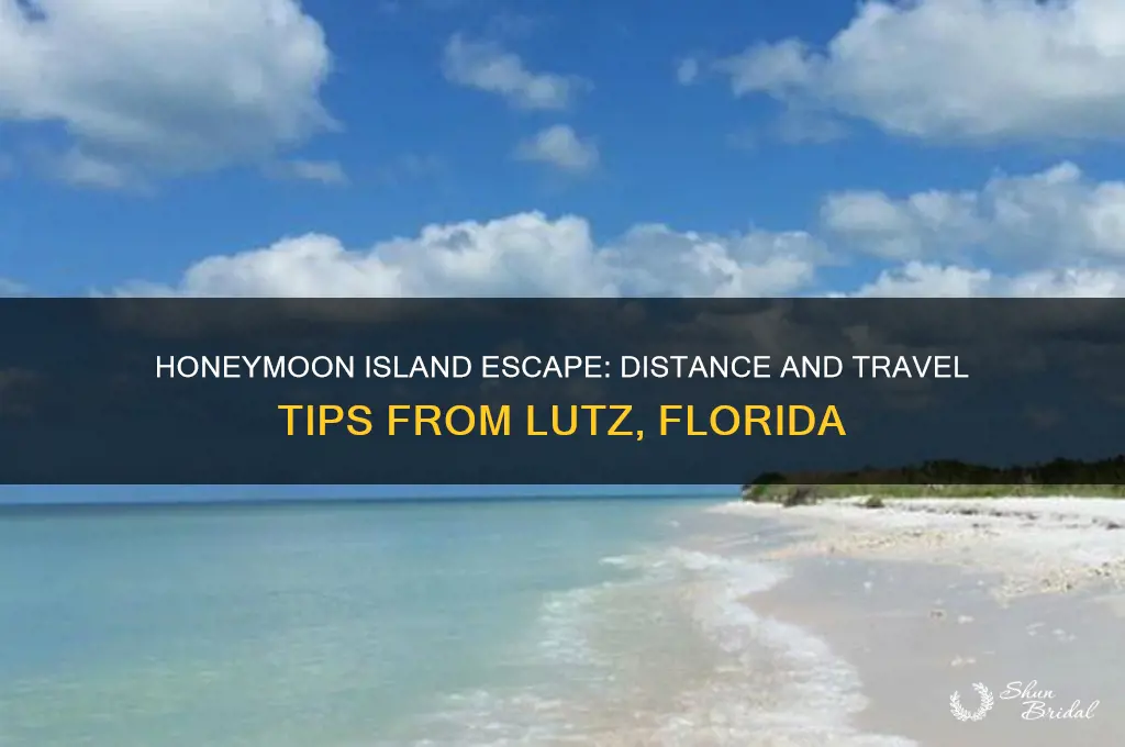 how far is honeymoon island from lutz