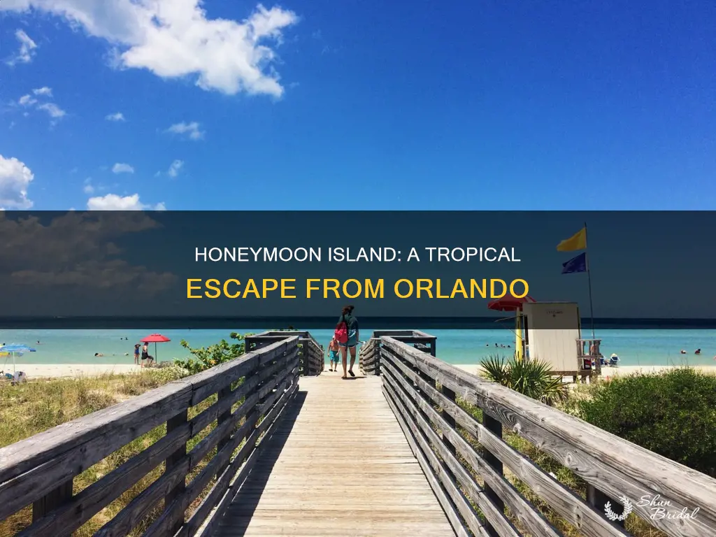 how far is honeymoon island from orlando