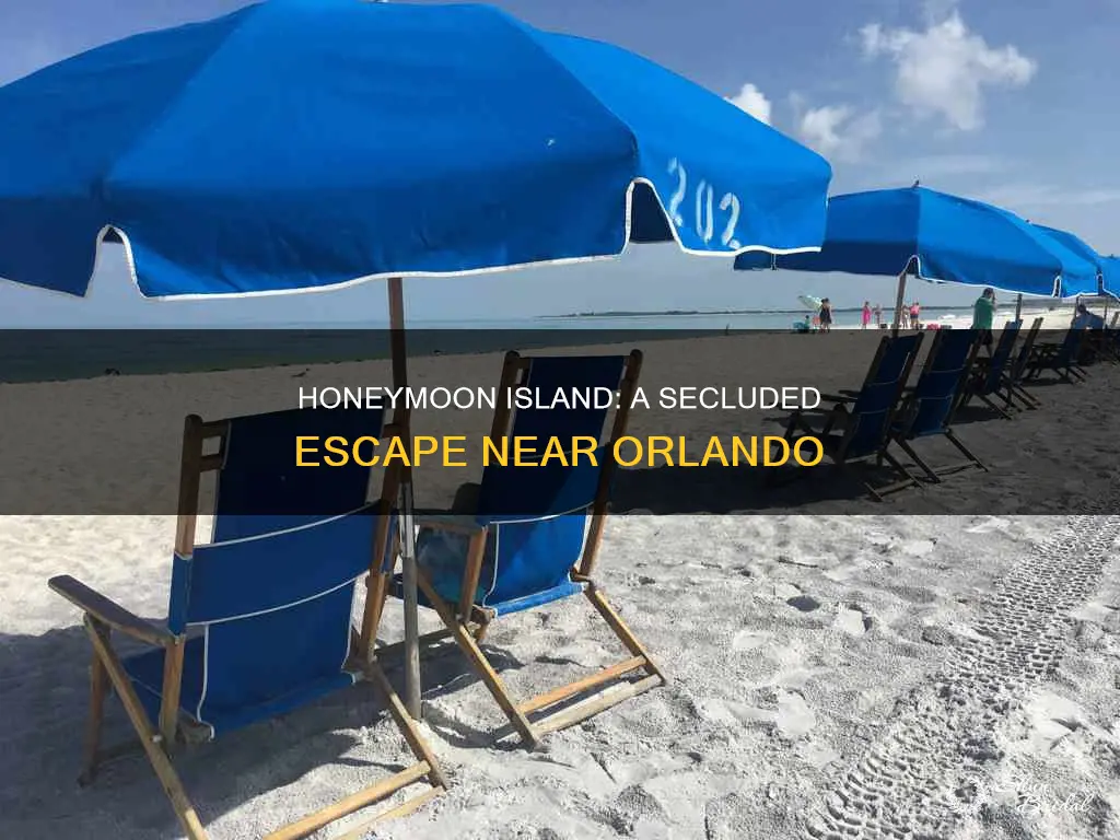 how far is honeymoon island from orlando