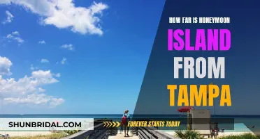 Honeymoon Island Getaway: Tampa to Paradise Distance Revealed