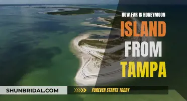 Honeymoon Island: A Quick Escape from Tampa