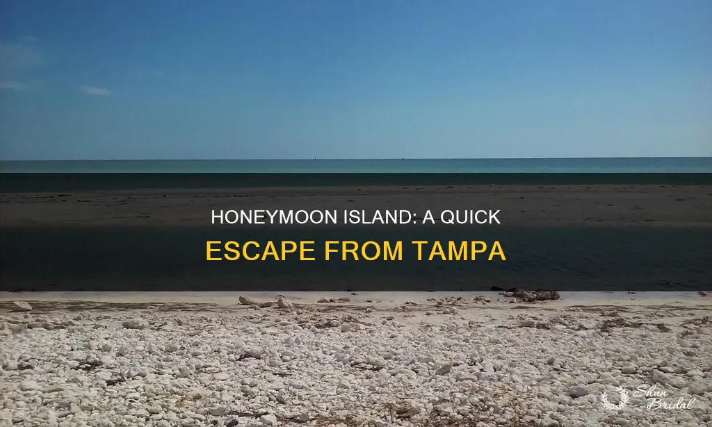 how far is honeymoon island from tampa
