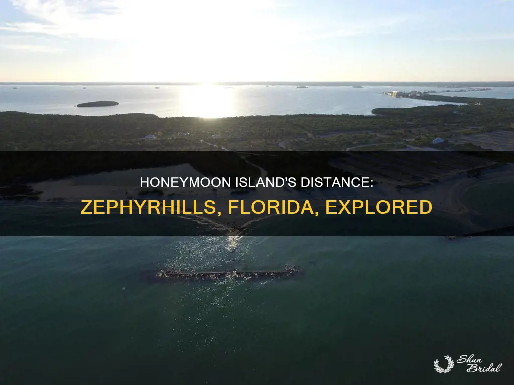 how far is honeymoon island from zephyrhills florida