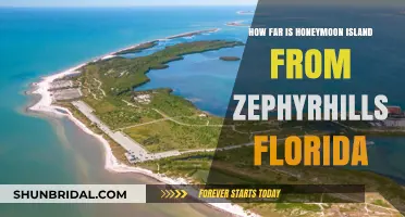 Honeymoon Island to Zephyrhills: Distance, Travel Tips, and Journey Guide
