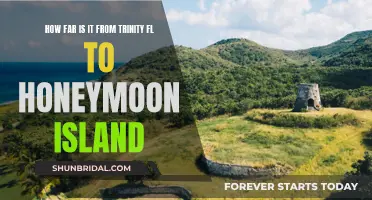 Exploring Florida: Trinity to Honeymoon Island Distance