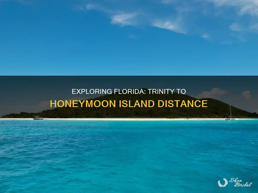 how far is it from trinity fl to honeymoon island