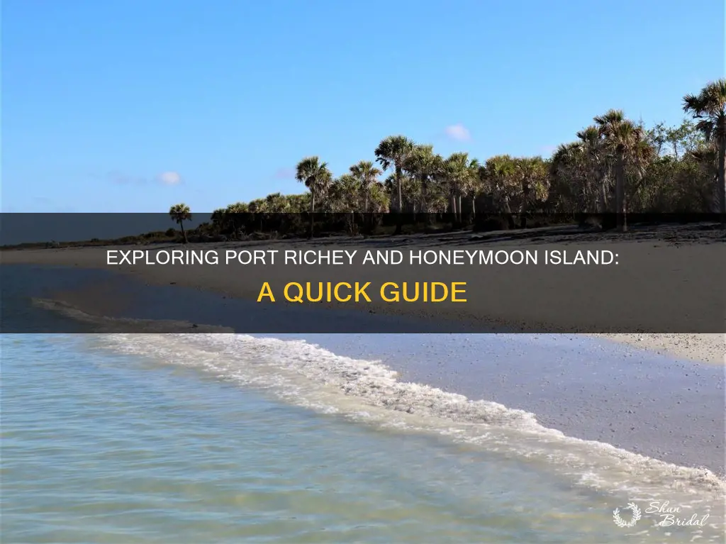 how far is port richey from honeymoon island