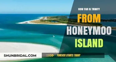 Distance from Trinity to Honeymoon Island: A Travel Guide