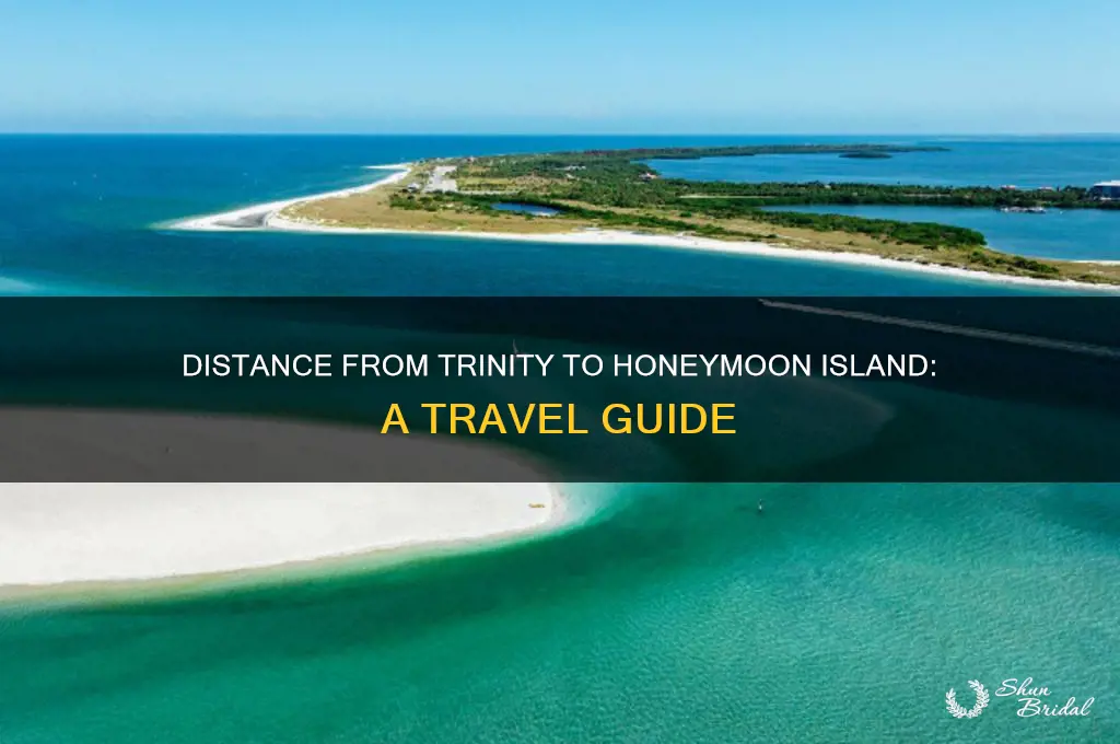 how far is trinity from honeymoon island