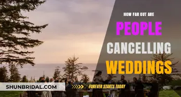 Wedding Cancellations Surge: How Far Out Are Couples Pulling the Plug?
