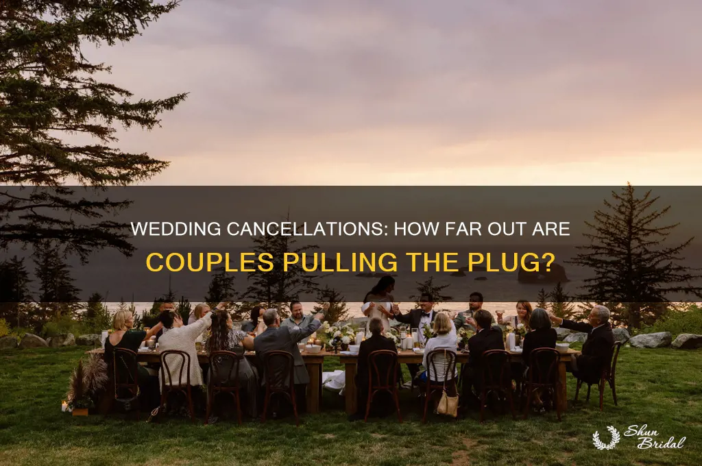 how far out are weddings being cancelled