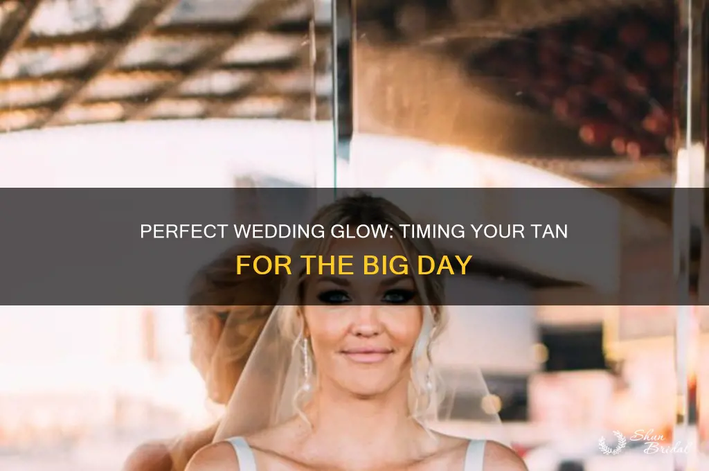 how far out should I tan for my wedding