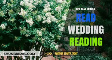 Perfect Wedding Reading Pace: Tips for Timing Your Speech Flawlessly