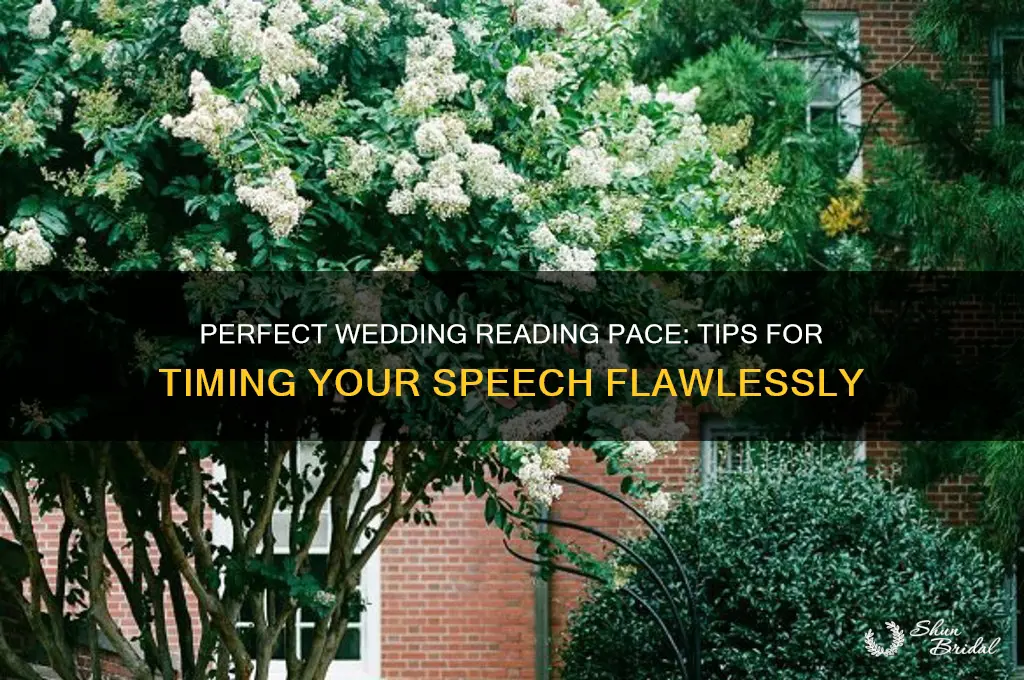 how fast should I read wedding reading