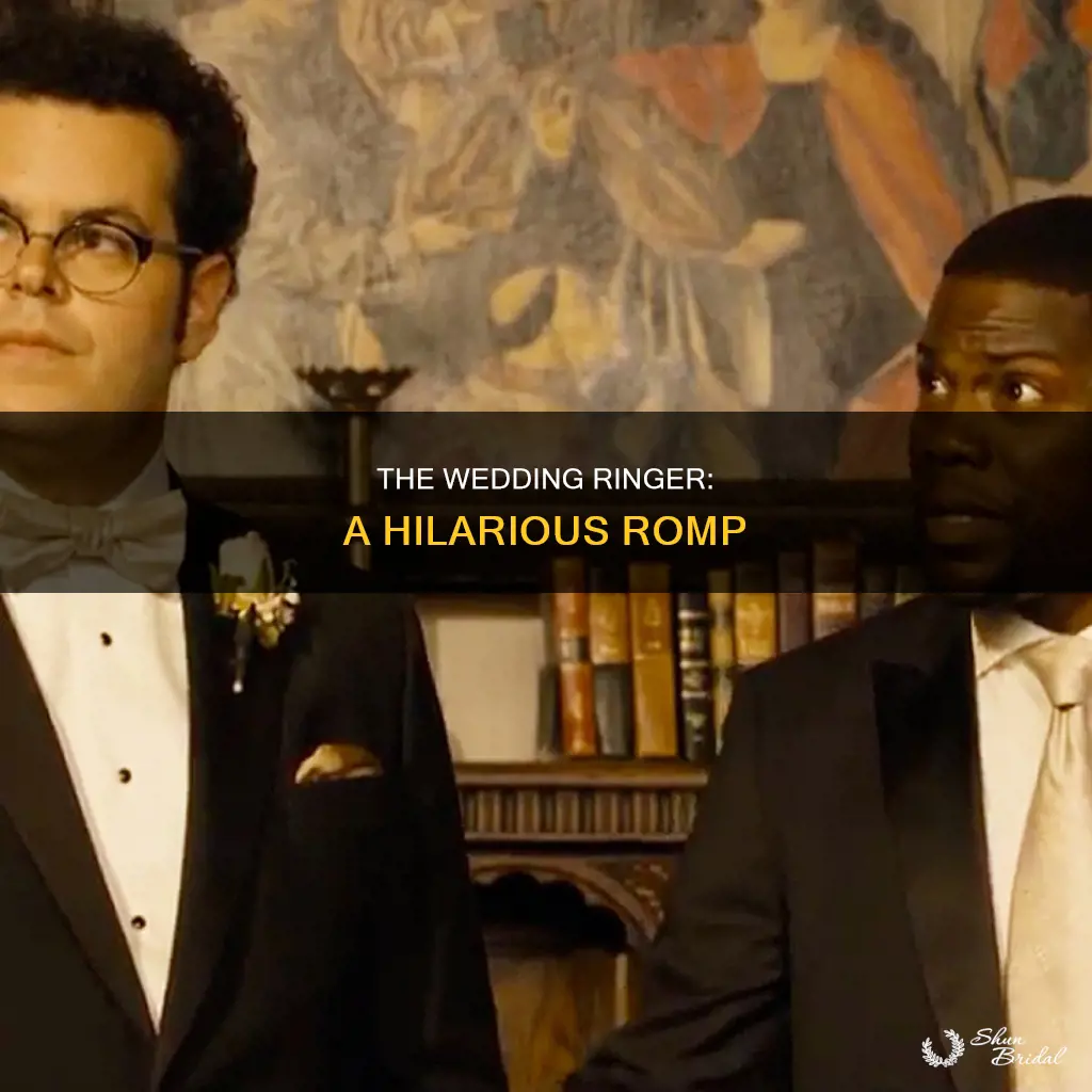 how funny is the wedding ringer