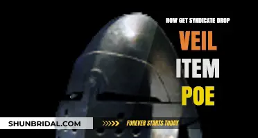 Mastering Syndicate Drops: How to Obtain Veil Items in PoE
