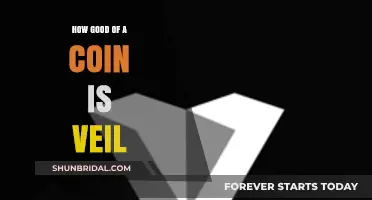 Is Veil Coin a Worthwhile Investment? A Comprehensive Analysis