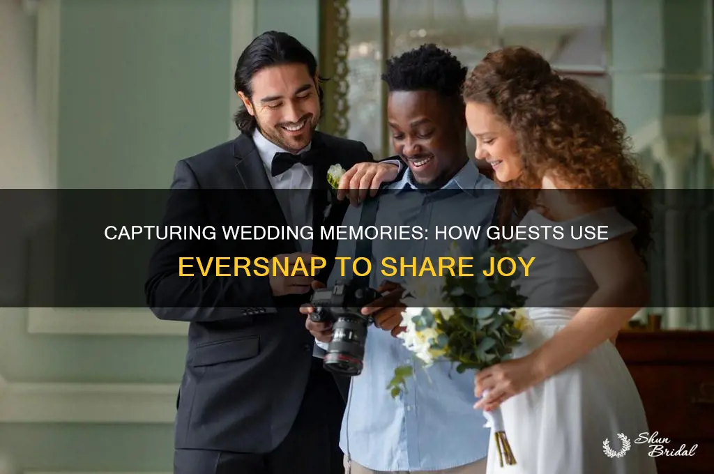 how guests use eversnap at wedding
