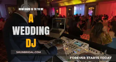 The Challenges of Being a Wedding DJ: Skills, Stress, and Success