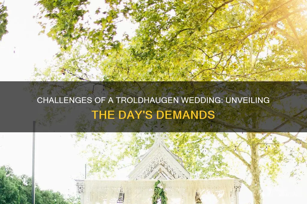 how hard is wedding day at troldhaugen