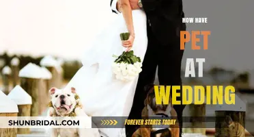 Incorporating Your Furry Friend: A Guide to Having Pets at Weddings