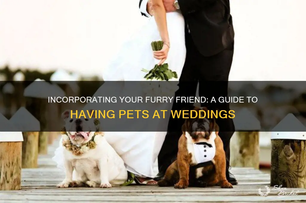 how have pet at wedding