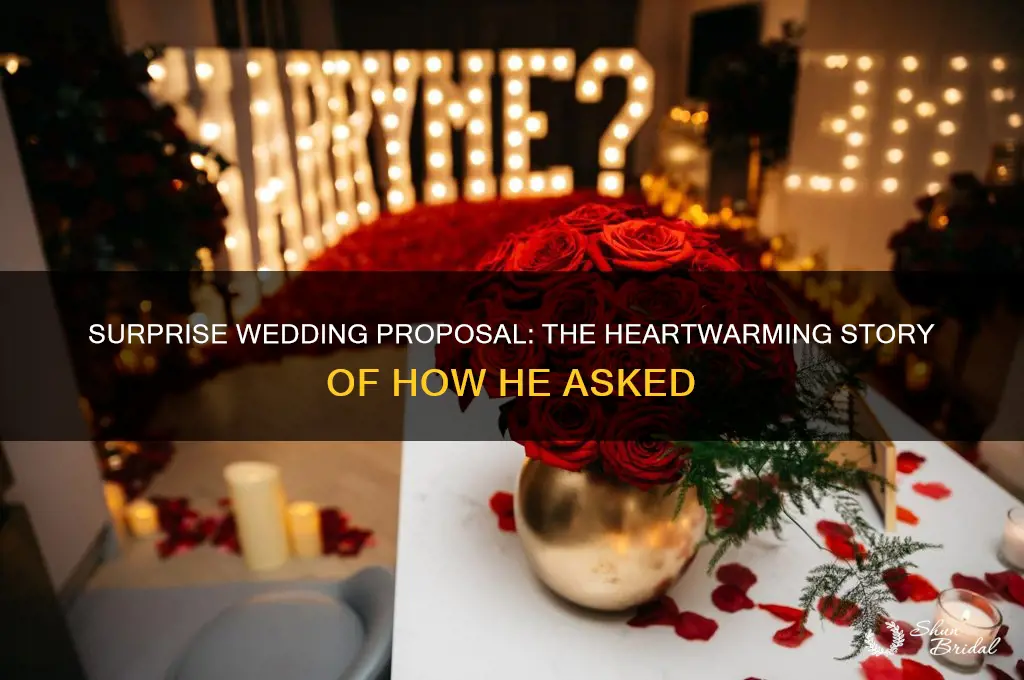 how he asked surprise wedding